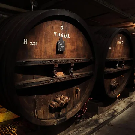 Soon - Surf アパート コルマール