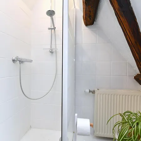 Soon - Surf アパート コルマール