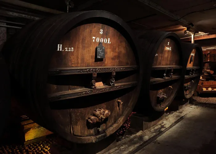 Soon - Surf Διαμέρισμα Κολμάρ